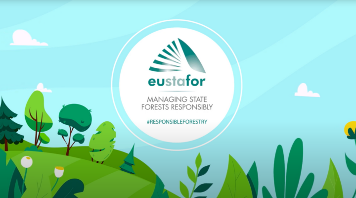 #RESPONSIBLEFORESTRY CAMPAIGN